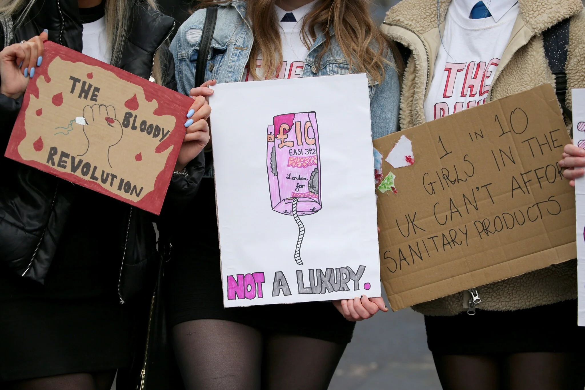 Anita Diamant Continues the Fight for Menstrual Justice