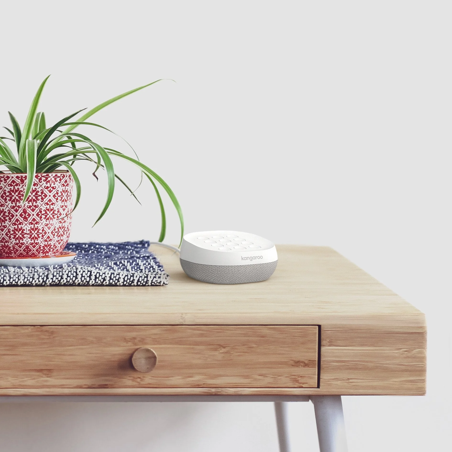 Houston on entryway table_square.jpg
