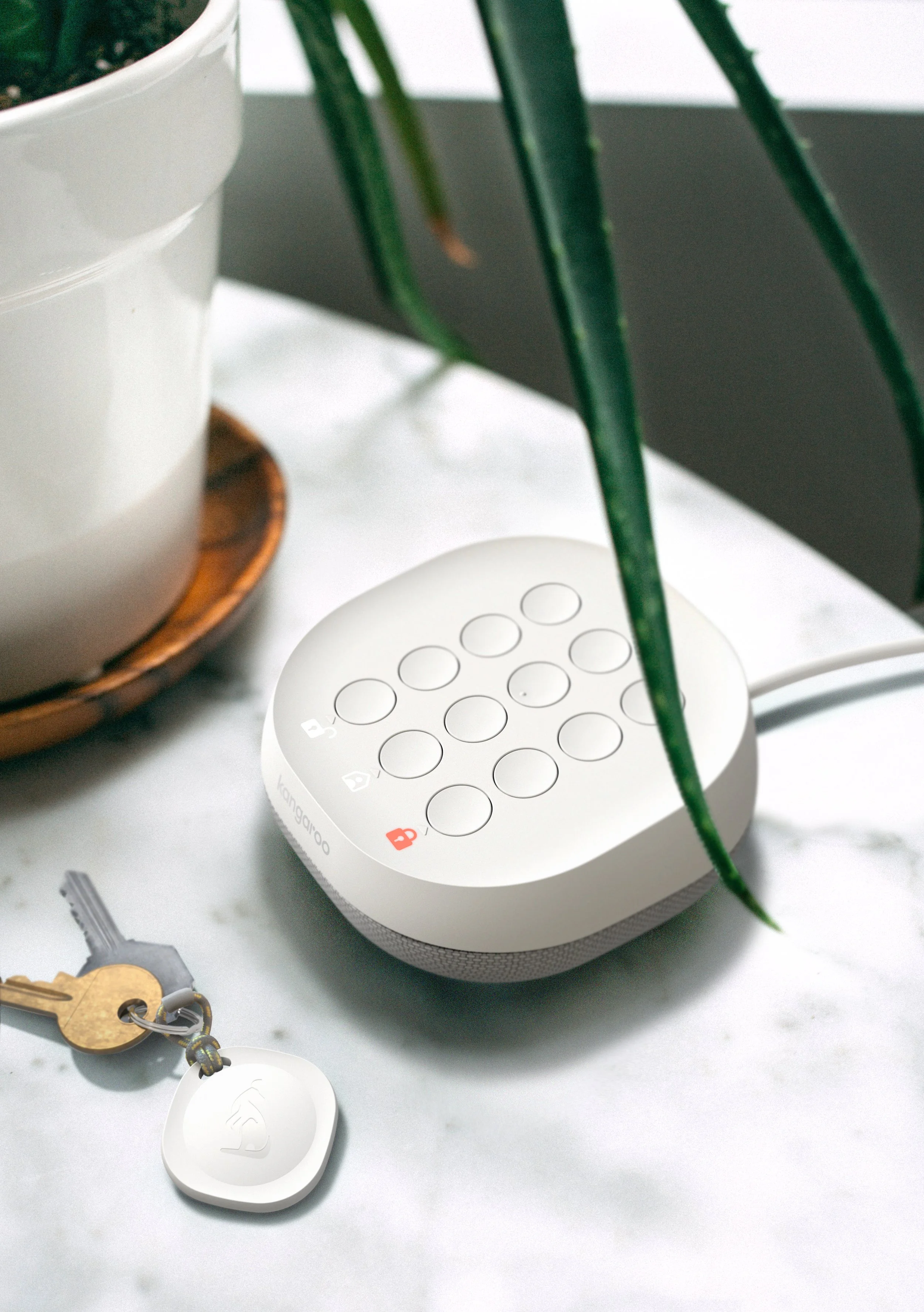 Houston Render in context_aloe plant.jpg