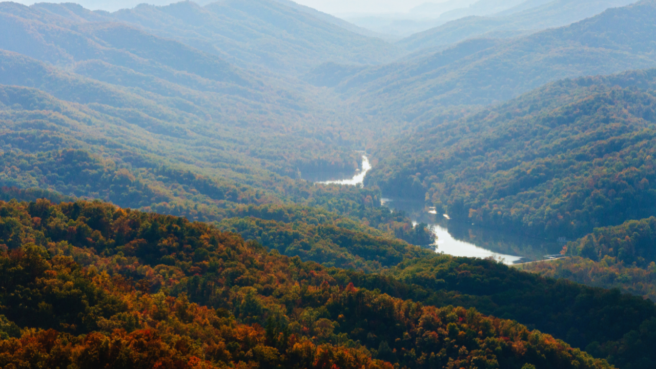 Best Thing to Do in Virginia: Hidden Gems Revealed — TheRooYorker