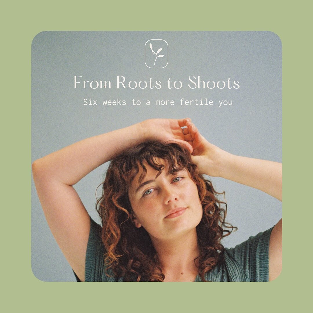 SO THE CAT IS OUT OF THE BAG..

I&rsquo;m so excited to announce my BRAND NEW OFFERING&hellip;

FROM ROOTS TO SHOOTS - A six-week online group programme that will take you from confused and overwhelmed to prepared and supported. It will give you the 