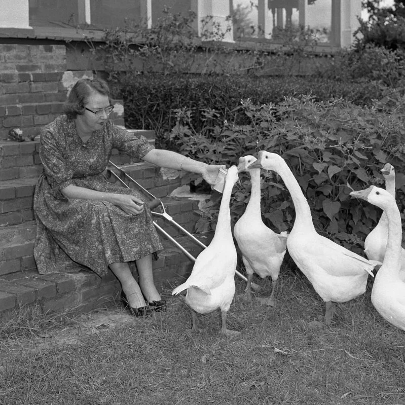 Episode 26: Flannery O'Connor Pt. 2