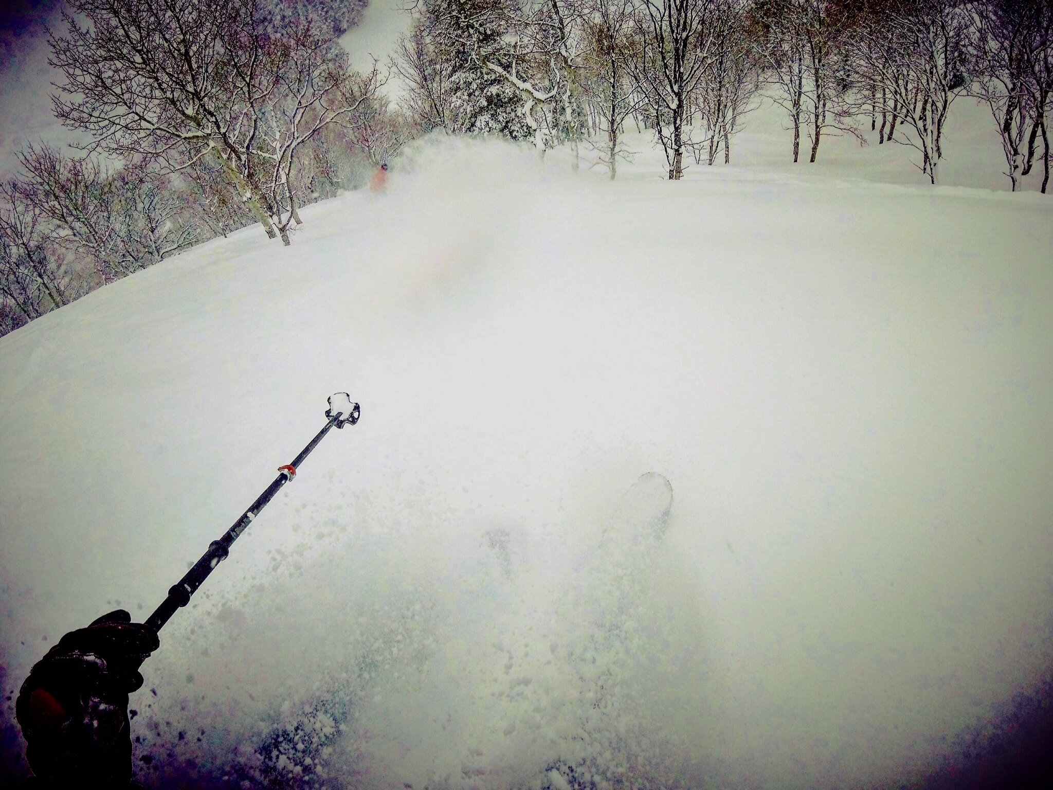 Scott - 7B0FC8D2-3DEB-4192-A500-CC28EF27F5A5.jpeg