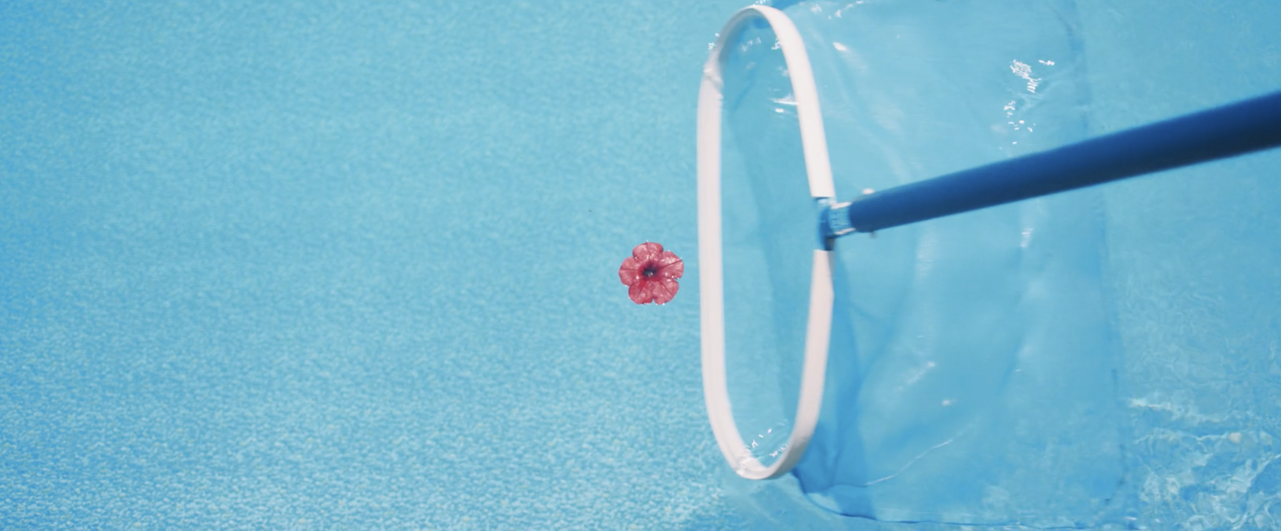 Screen Shot 2021-03-09 at 12.44.14 PM.png