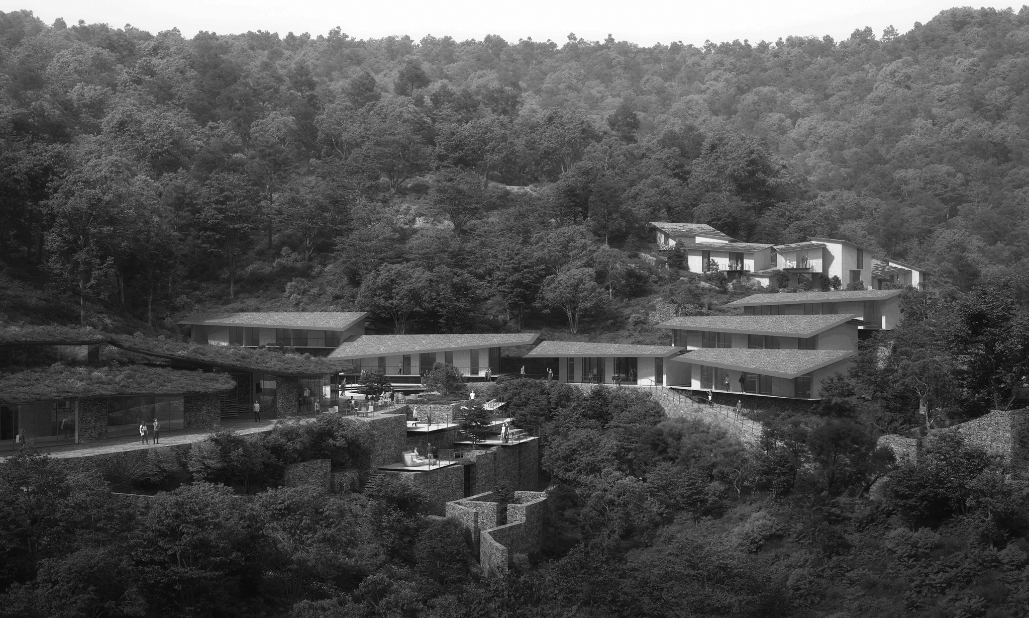 Modern multi-level buildings with flat roofs on a wooded hillside, featuring large glass windows and outdoor terraces.