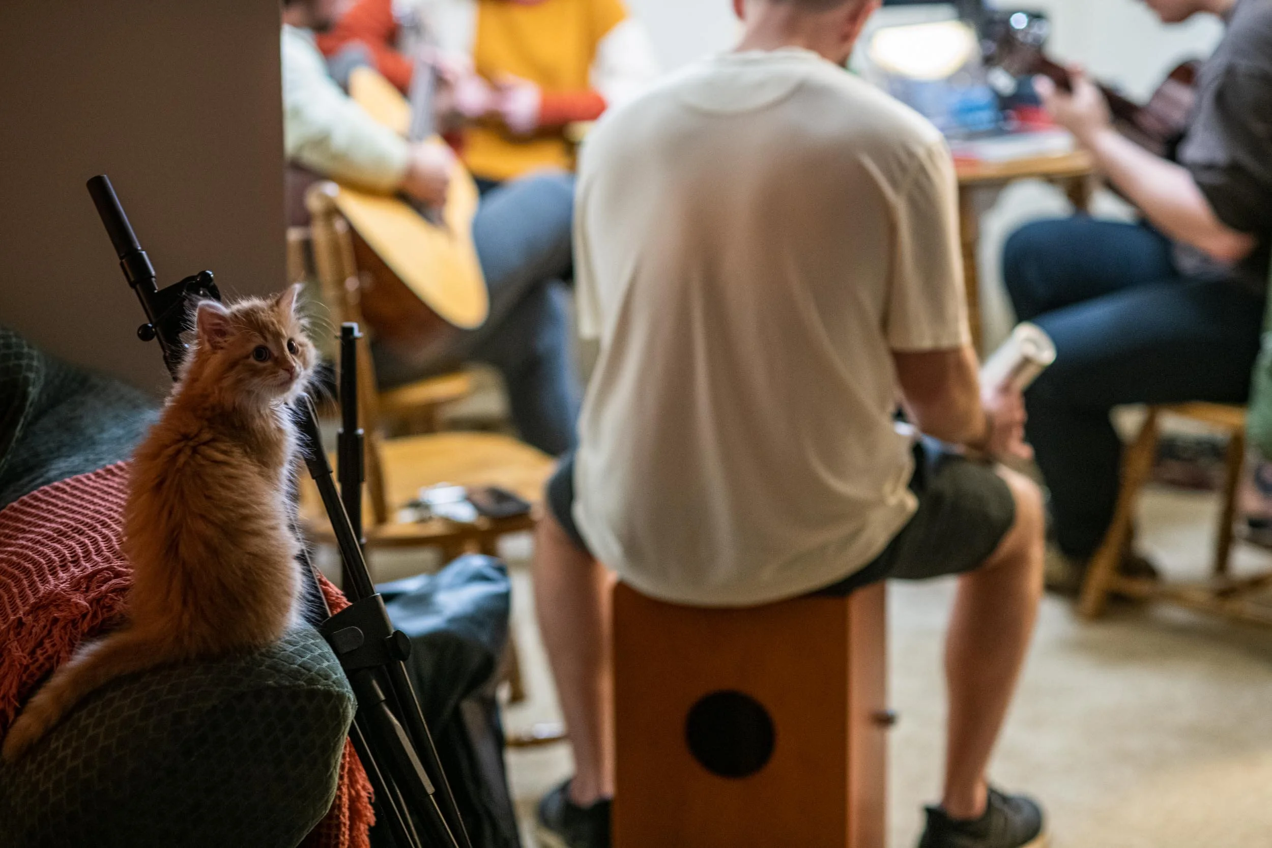 Marvin the cat listens as (from left to right) Blake Burkholder, Adelaide Estep, Michael, and Connor Bragg put newly writting lyrics to music at Estep's apartment in Nashville, TN, Friday, Nov. 22, 2019. This is the Marvin's first time experiencing a