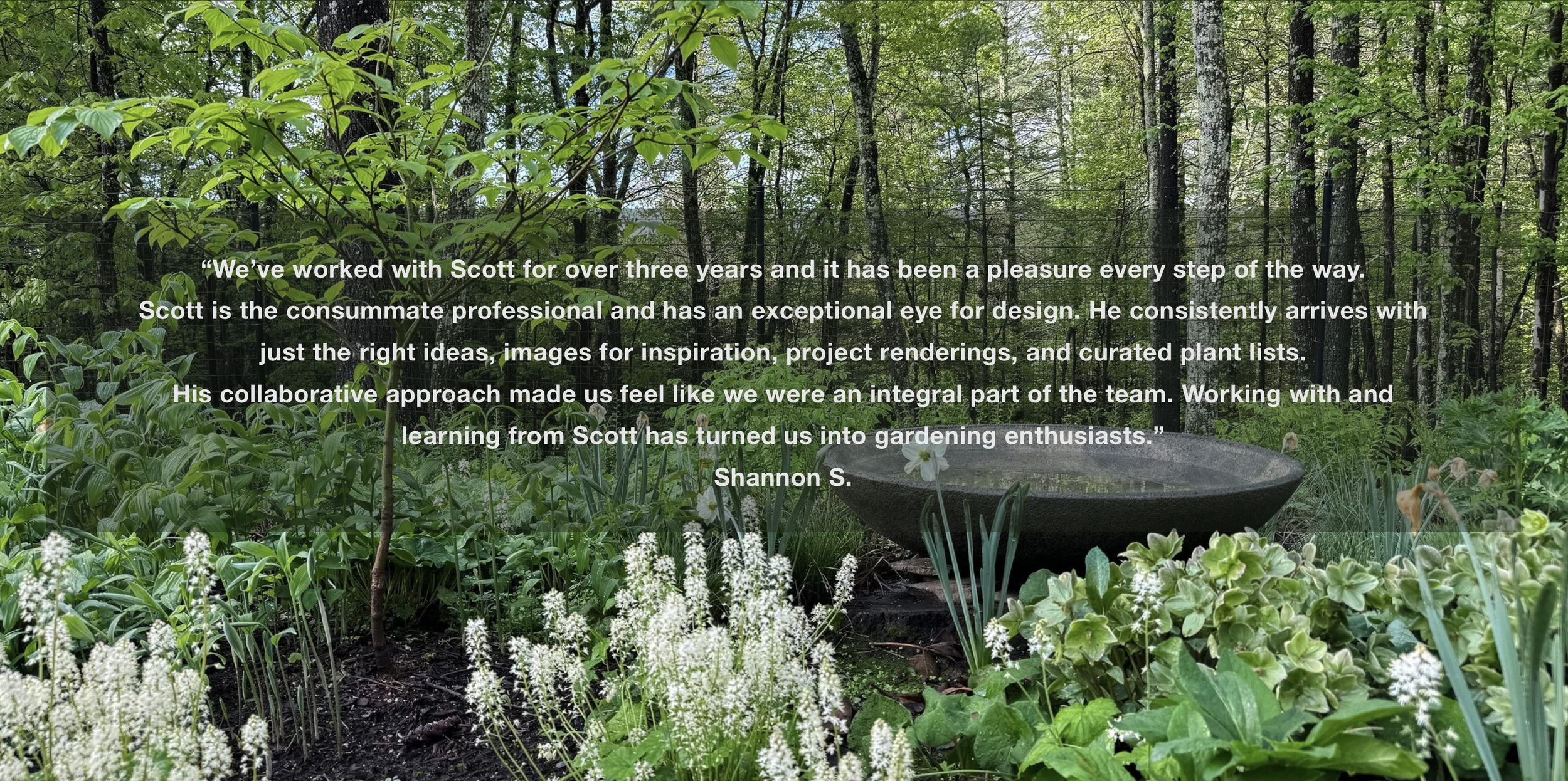 A lush garden with various green plants and flowers, a large stone basin, and a backdrop of a forest with tall trees and green leaves. Overlaid text features a testimonial about working with Scott, praising his design eye and collaborative approach.