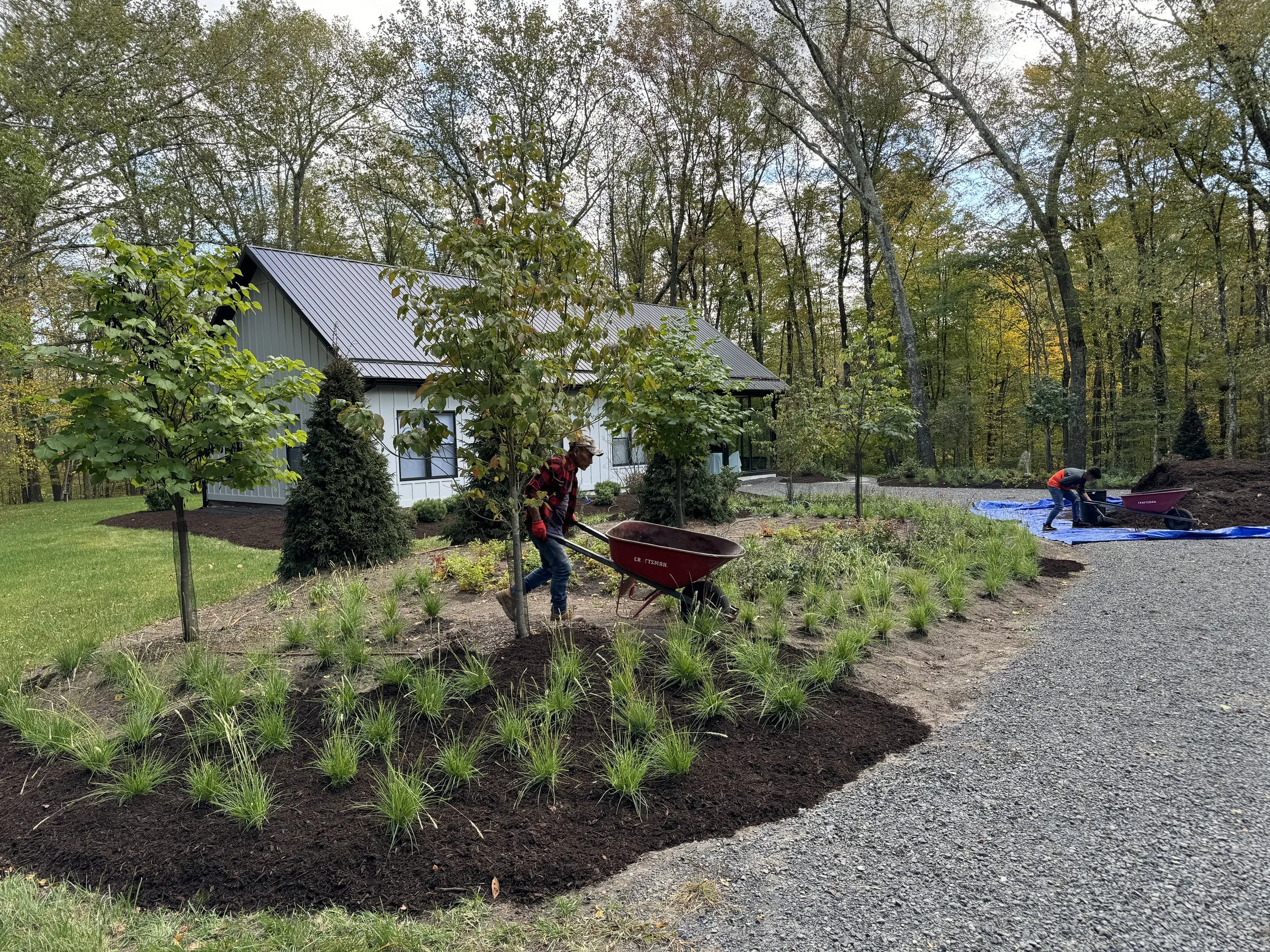 Two people planting new grass or plants in a garden beside a white house with a metal roof, surrounded by trees and a forested area.
