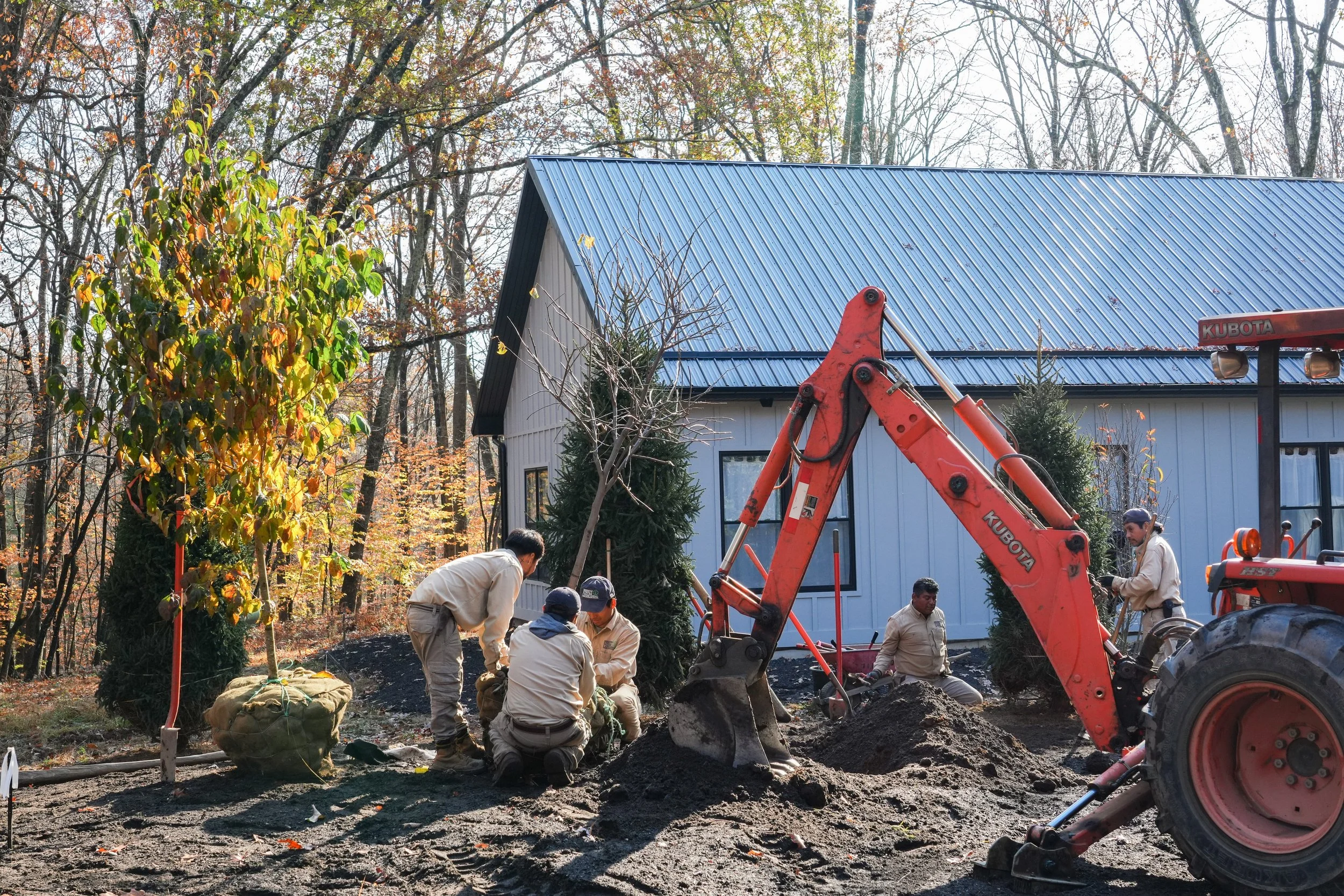 A group of workers operating a small excavator at a construction site in a wooded area with autumn trees. The workers are gathered around a freshly dug area, and there is a house with a blue metal roof in the background.