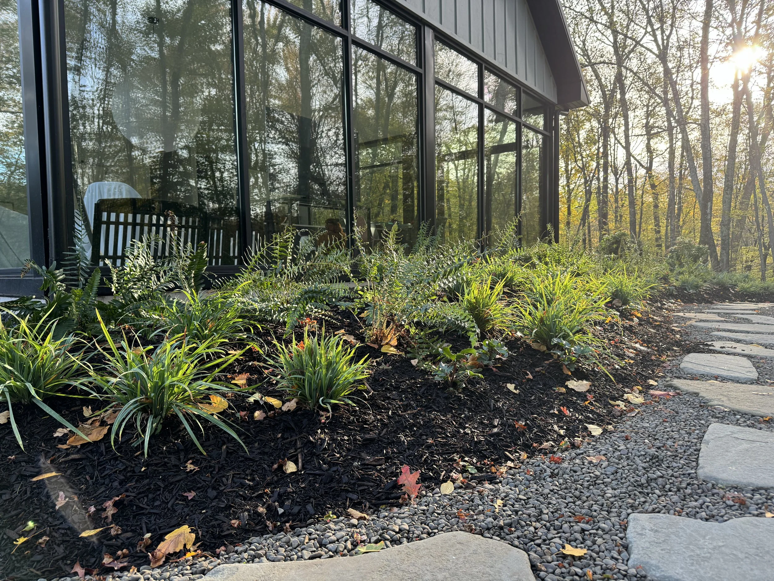 Exterior view of a modern house with large glass windows, surrounded by trees and plants, with a sun shining through the trees.