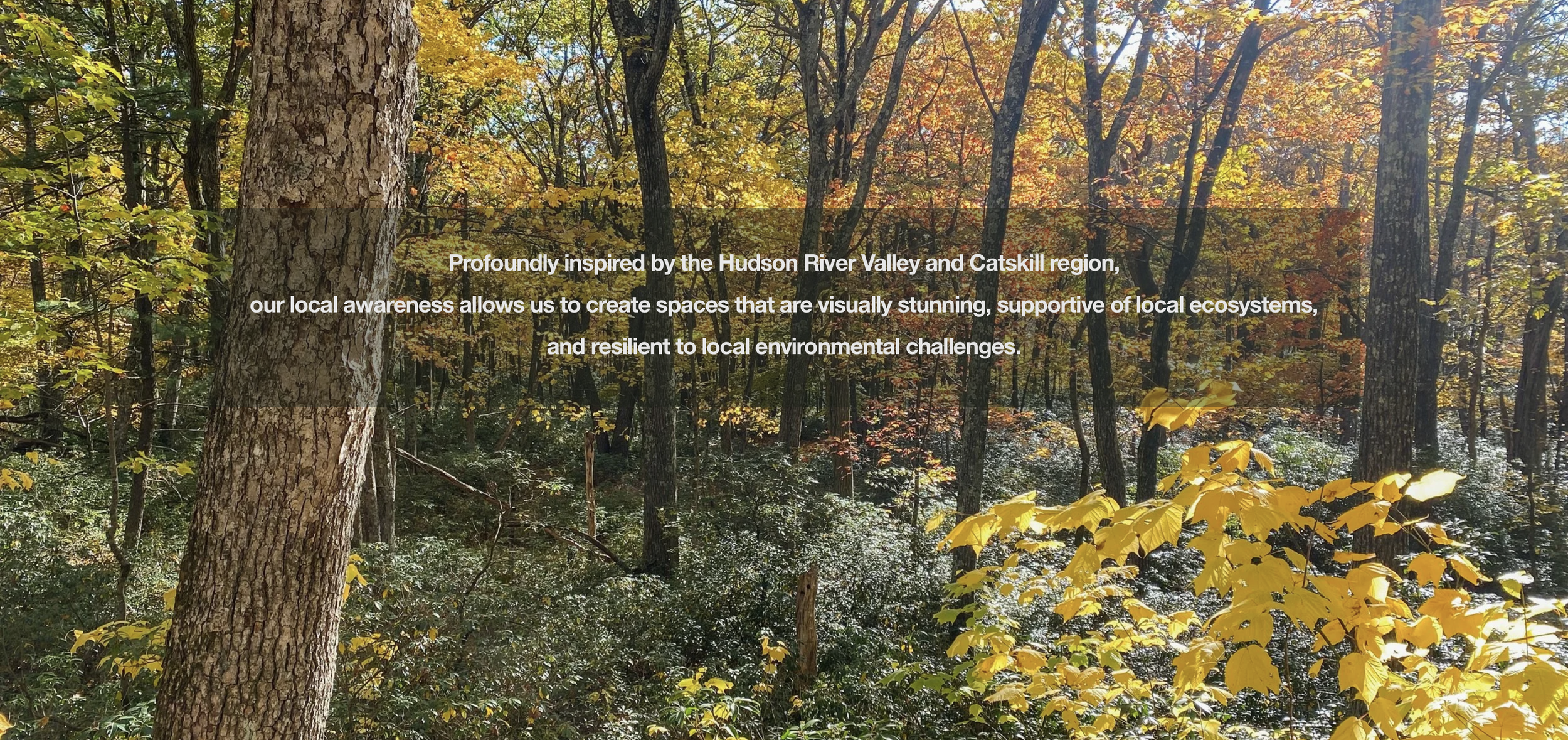 Text overlay on a photograph of a forest with trees and yellow leaves, reading: 'Profoundly inspired by the Hudson River Valley and Catskill region, our local awareness allows us to create spaces that are visually stunning, supportive of local ecosystems, and resilient to local environmental challenges.'