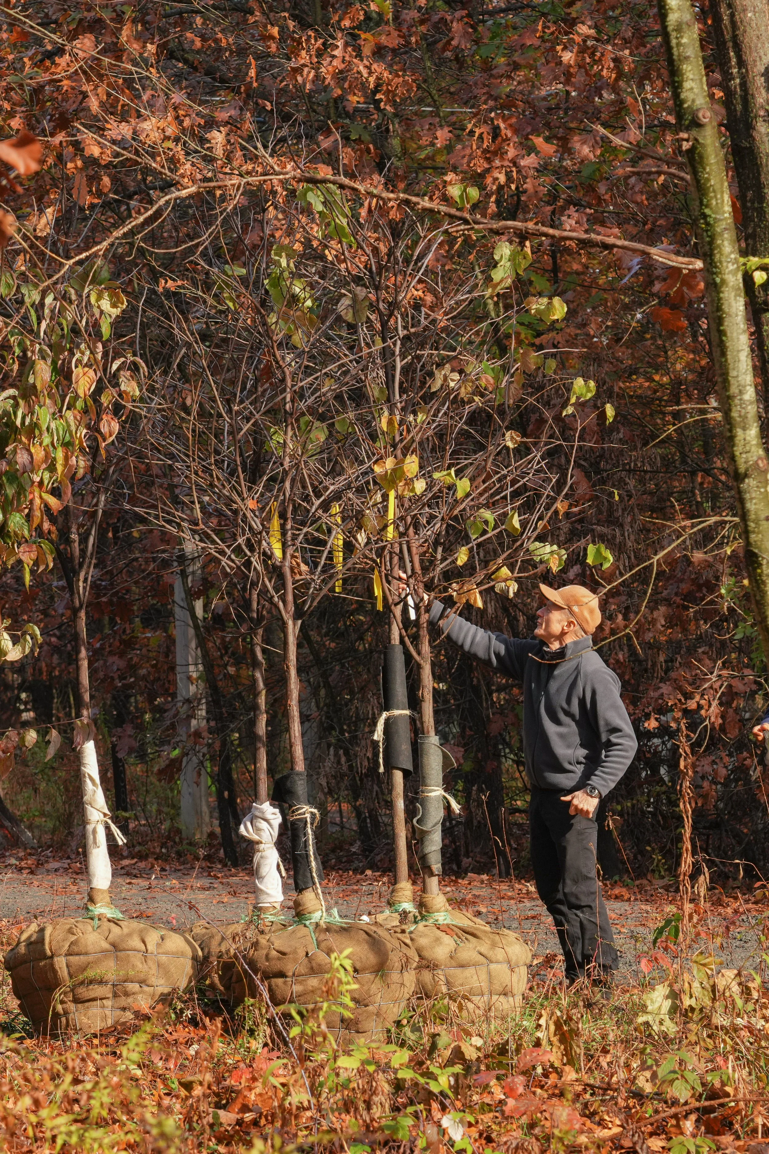 Upstate New York landscaping. Catskills landscaper. Hudson River Valley landscaper. Best landscaper in upstate New York. Best landscaper in Hudson River Valley. Best landscaper in the Catskills.