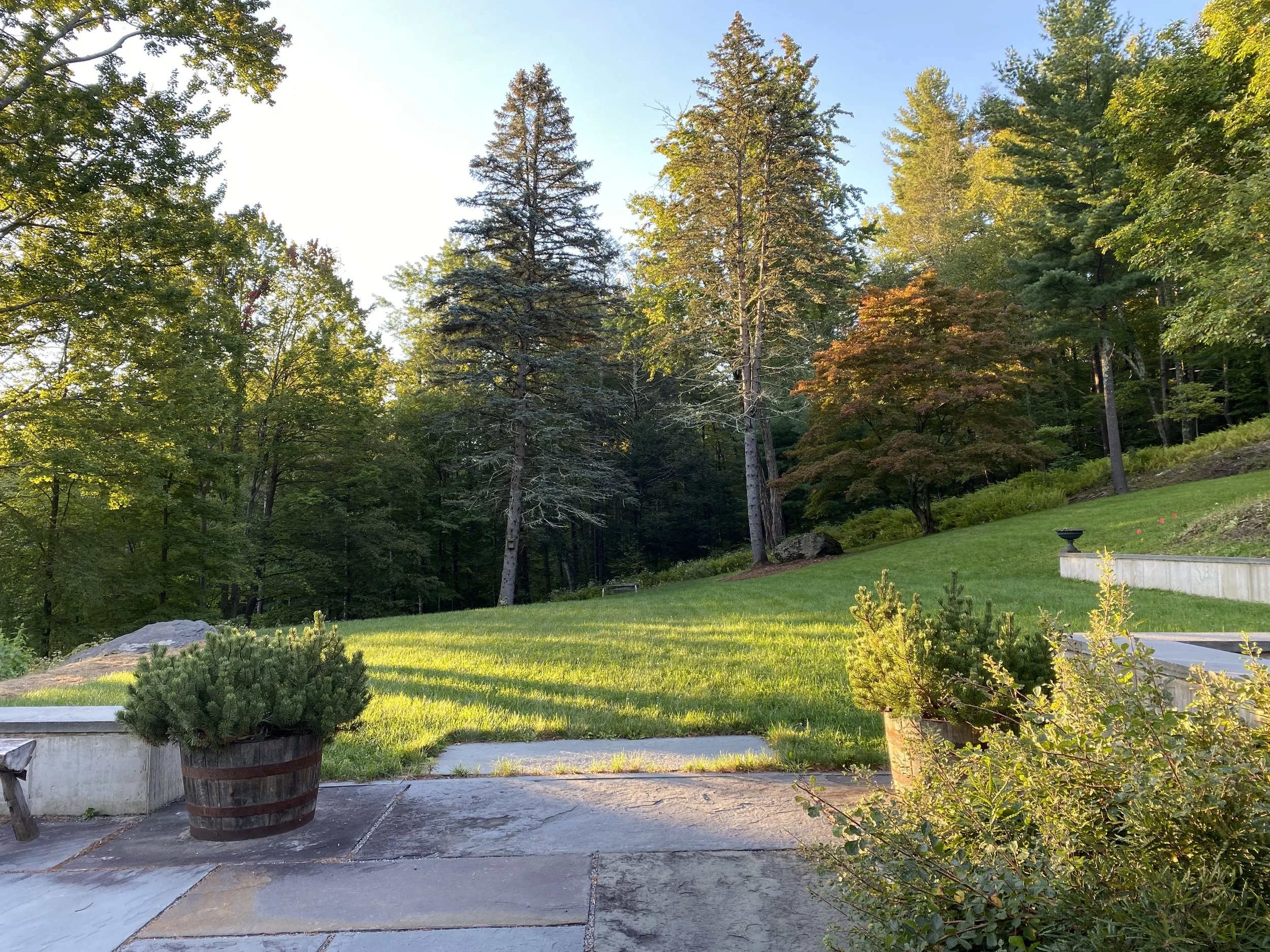A landscaped backyard with a green lawn, decorative bushes, a large green tree, and a group of tall trees in the background. There is a curved concrete pathway in the foreground, a stone border, and a garden urn on the right side.