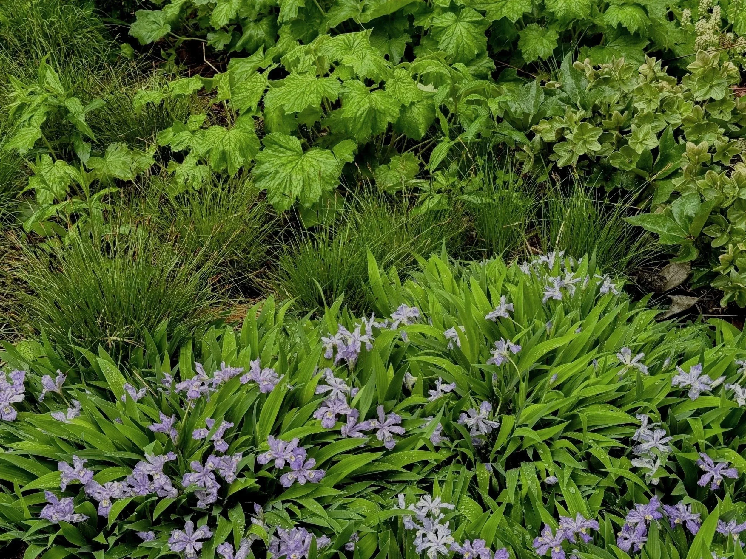 Upstate New York landscaping. Catskills landscaper. Hudson River Valley landscaper. Best landscaper in upstate New York. Best landscaper in Hudson River Valley. Best landscaper in the Catskills.
