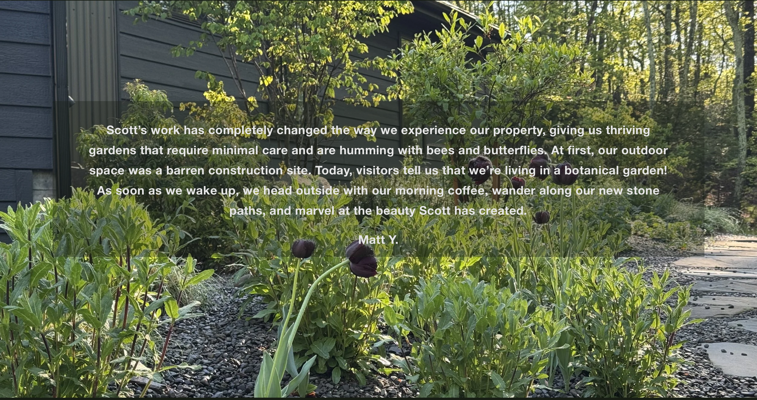 A lush garden with green plants and dark purple flowers in front of a blue house with horizontal siding. Sunlight filters through trees in the background.