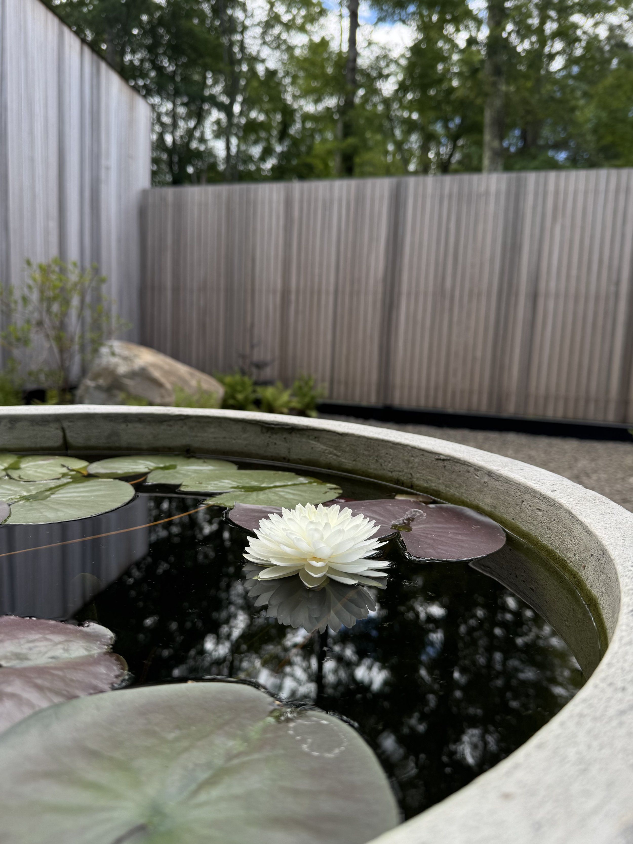 Upstate New York landscaping. Catskills landscaper. Hudson River Valley landscaper. Best landscaper in upstate New York. Best landscaper in Hudson River Valley. Best landscaper in the Catskills.