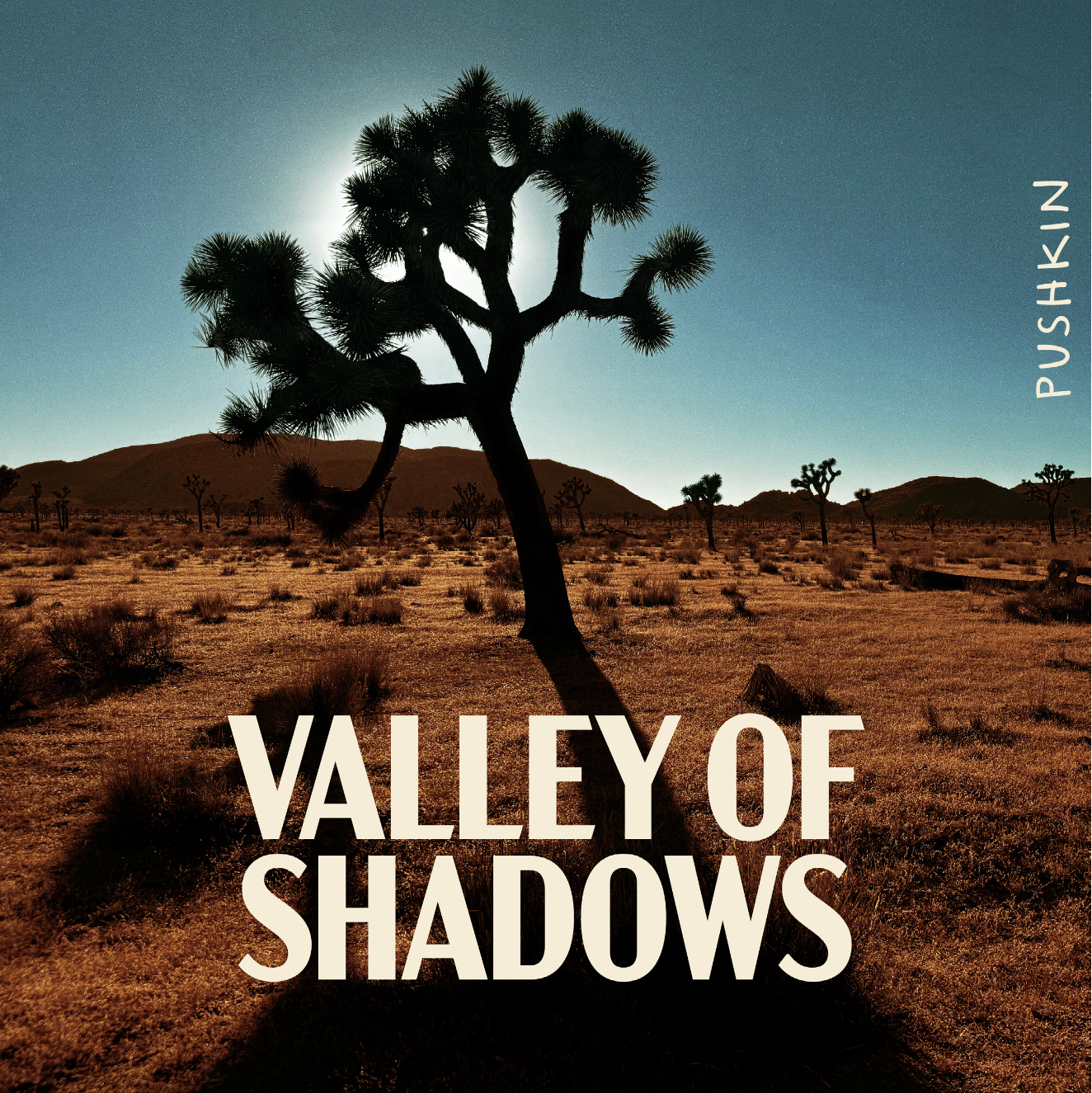 valley of shadows