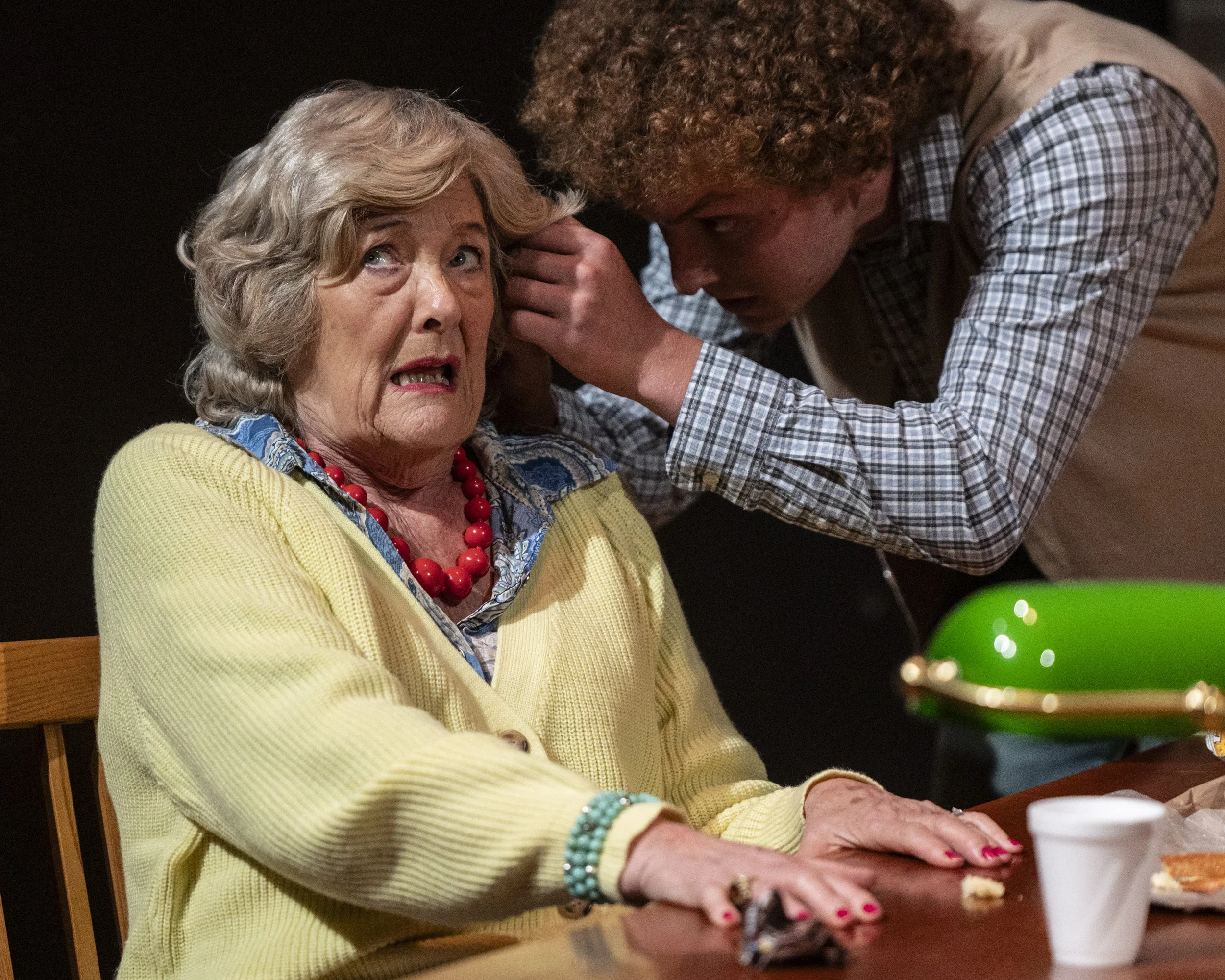 007_The Waverly Gallery_full set.jpg