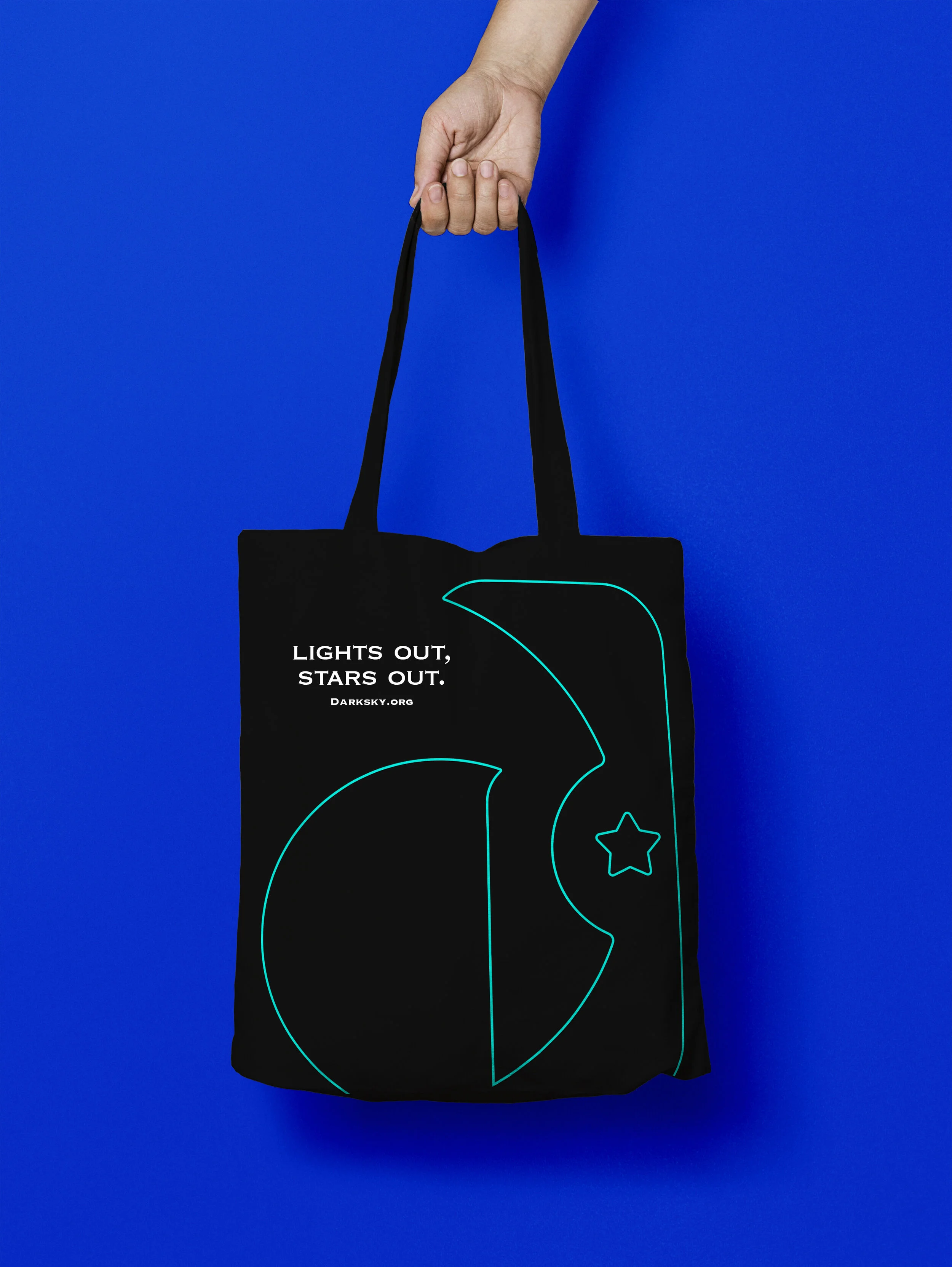 In the light copy.jpg