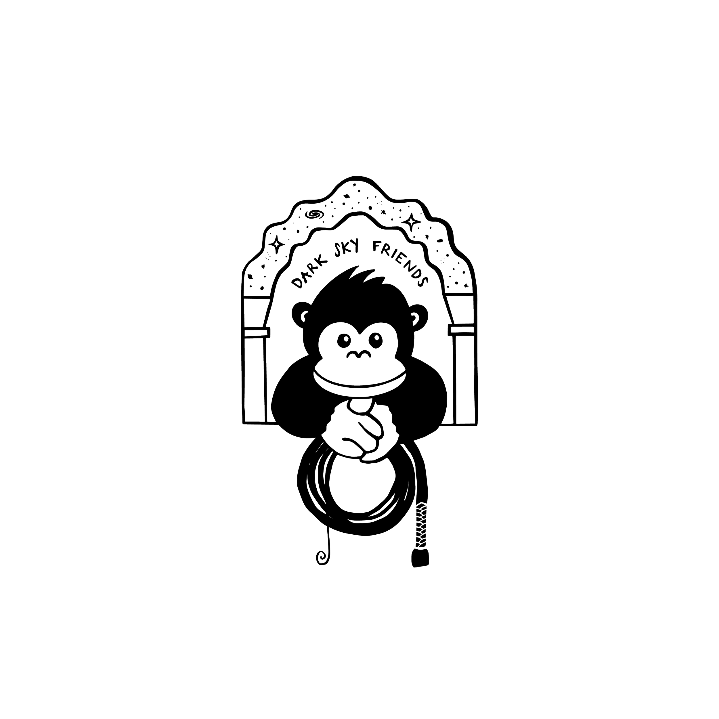 Logo for Dark Sky Friends (darkskyfriends.org) 