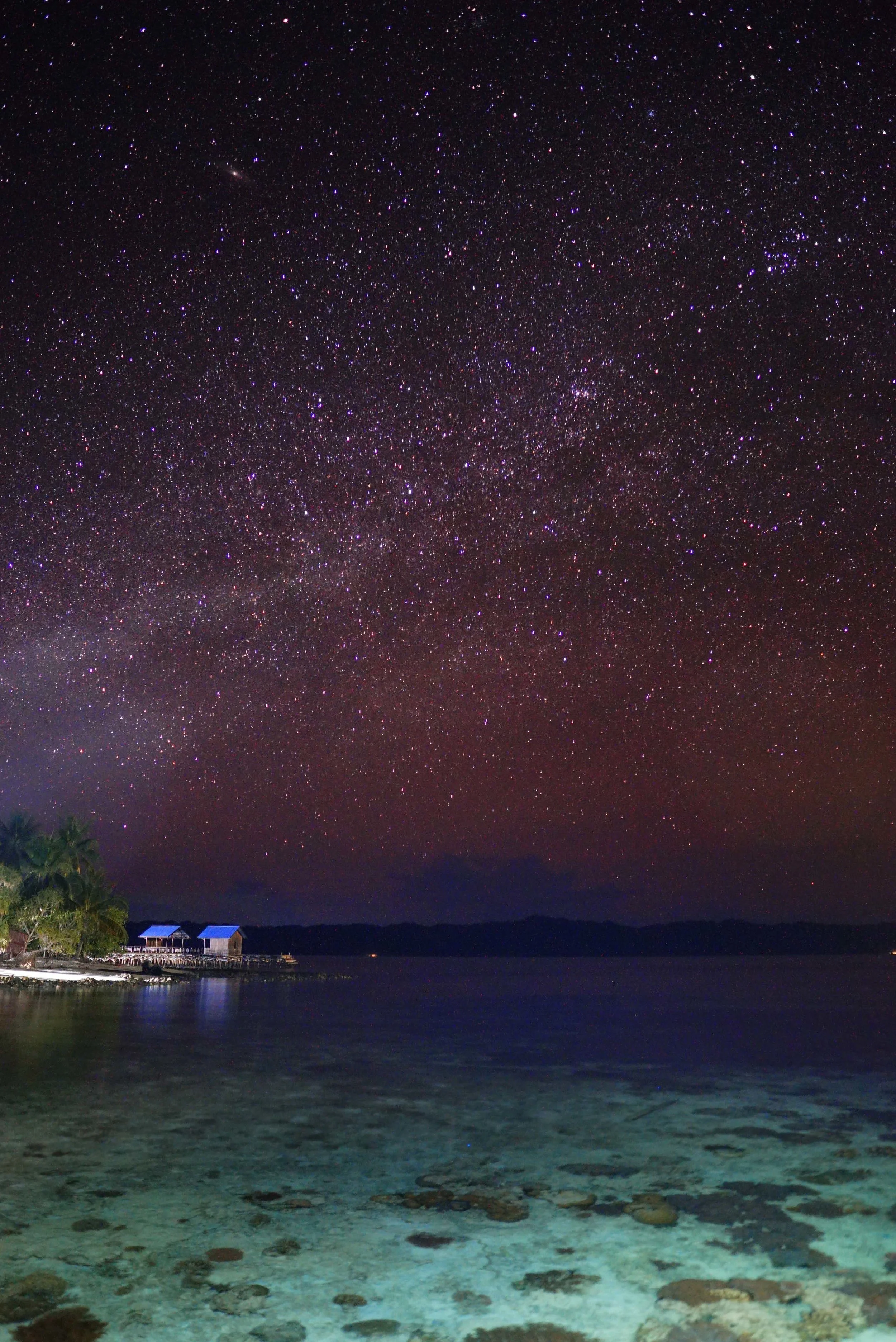 arborek+milky.jpg