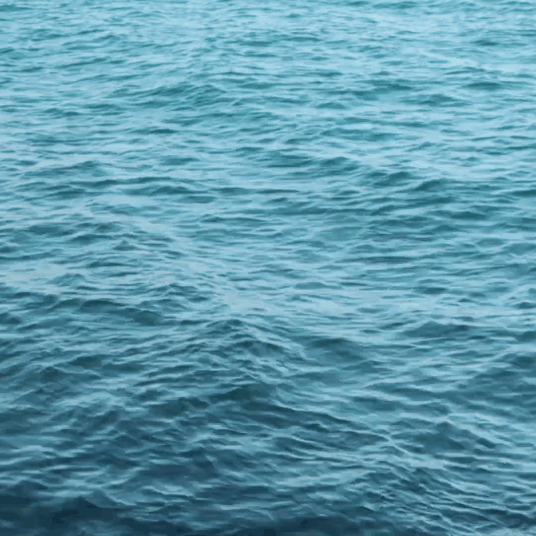 Videos: the sea