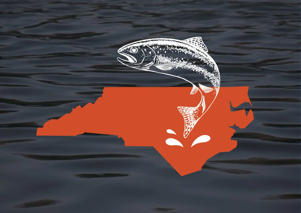 Fishing Licensing & Permits — The Specked Trout Outfitters