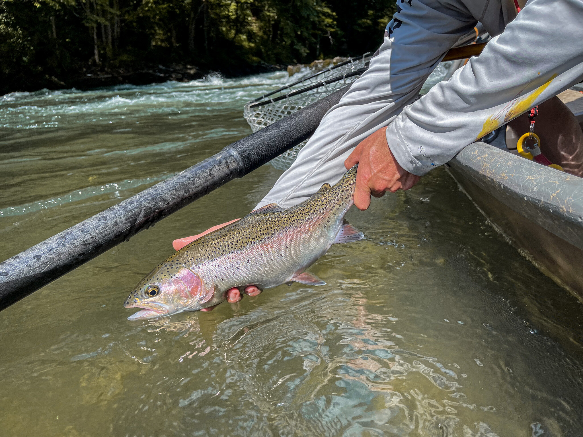 River Info — The Specked Trout Outfitters