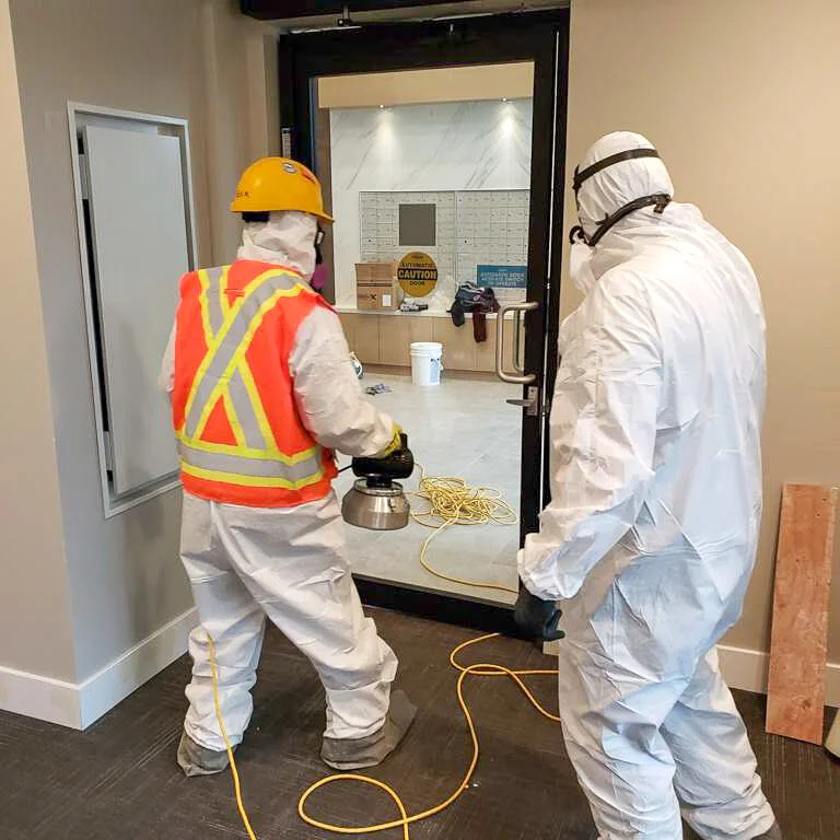 Decontamination