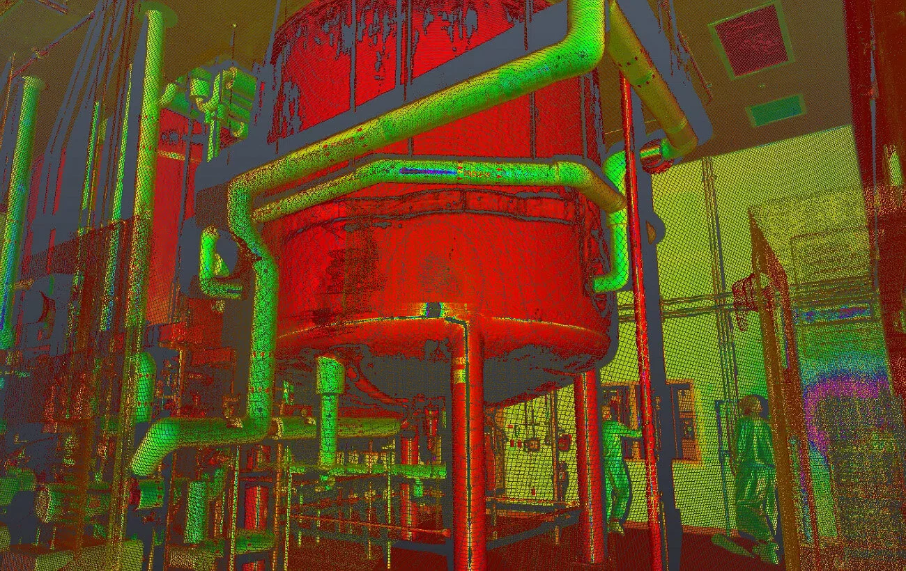 In-house software created to simplify the point cloud (image courtesy of ZELUS)