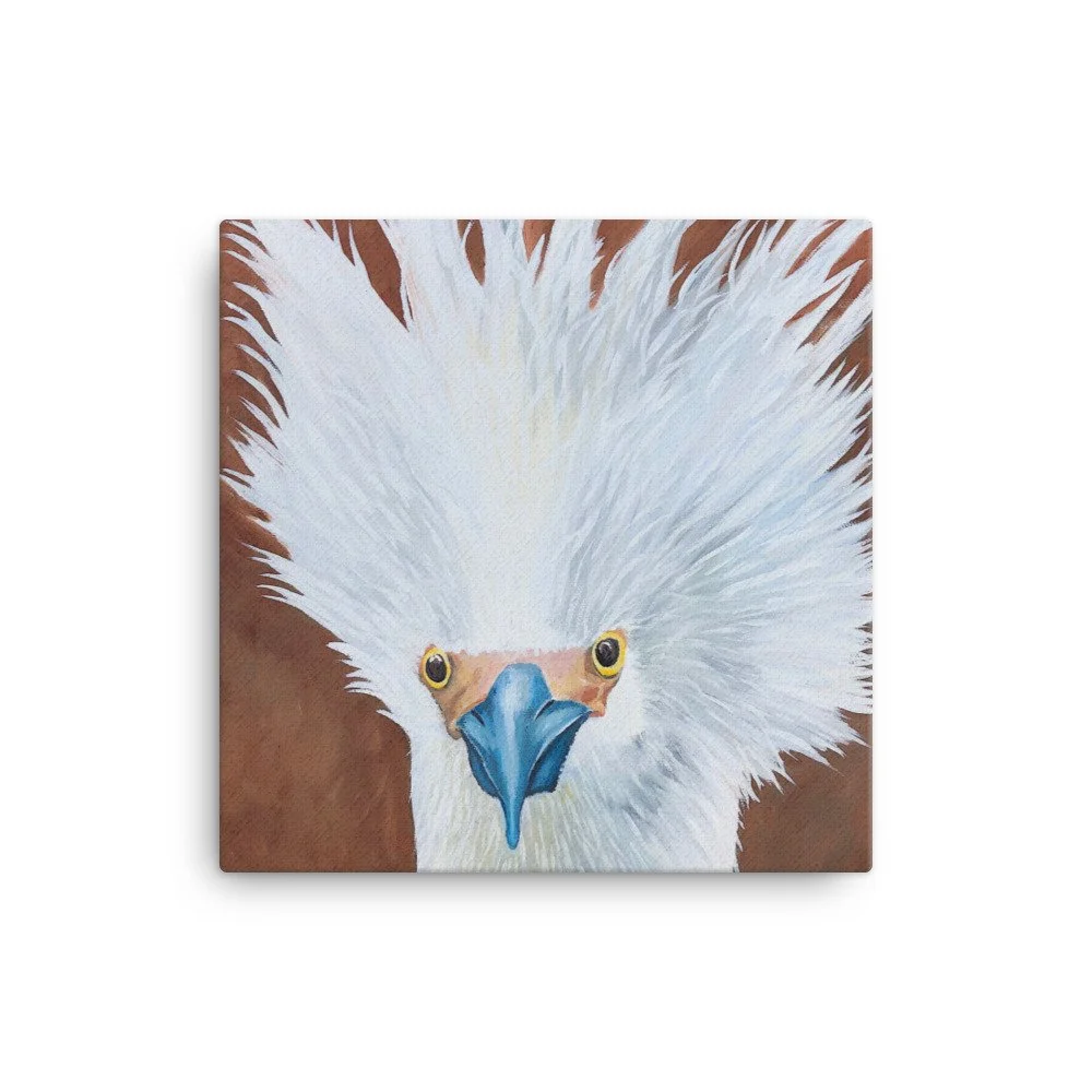 canvas-(in)-12x12-wall-633468957e904.jpg