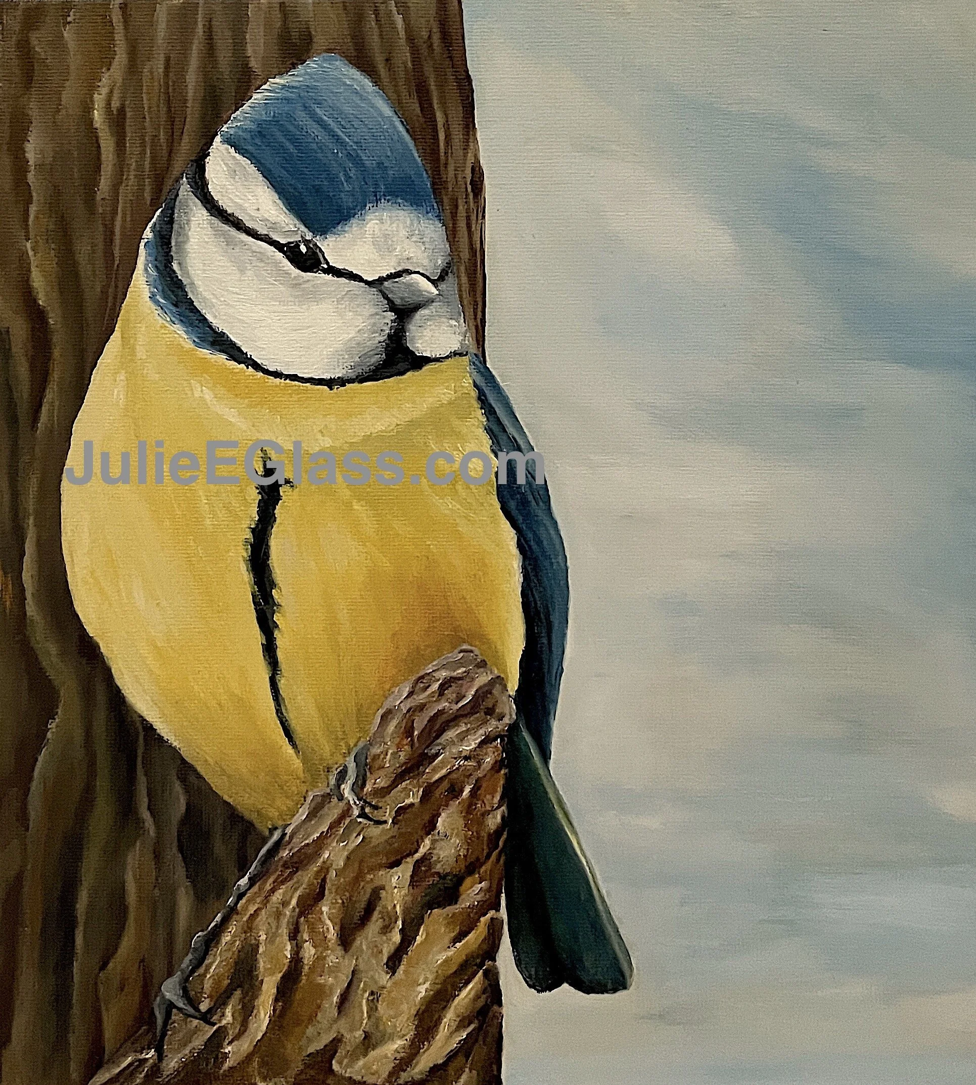 Debbie is a Blue Tit living throughout Europe, North Africa, and Turkey. She likes to nest in woodland trees but will nest in gardens with smaller broods. She is quite the gymnast hanging agilely from twigs and vines. Blue Tit’s have been known to te