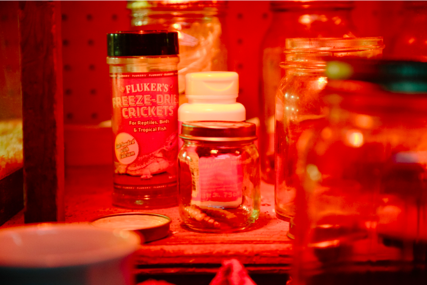 Screen Shot 2021-03-16 at 5.21.11 PM.png