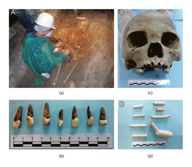 Paleogenetic-collection-human-remains-and-cultural-artifacts-found-in-the-Rio-de.webp