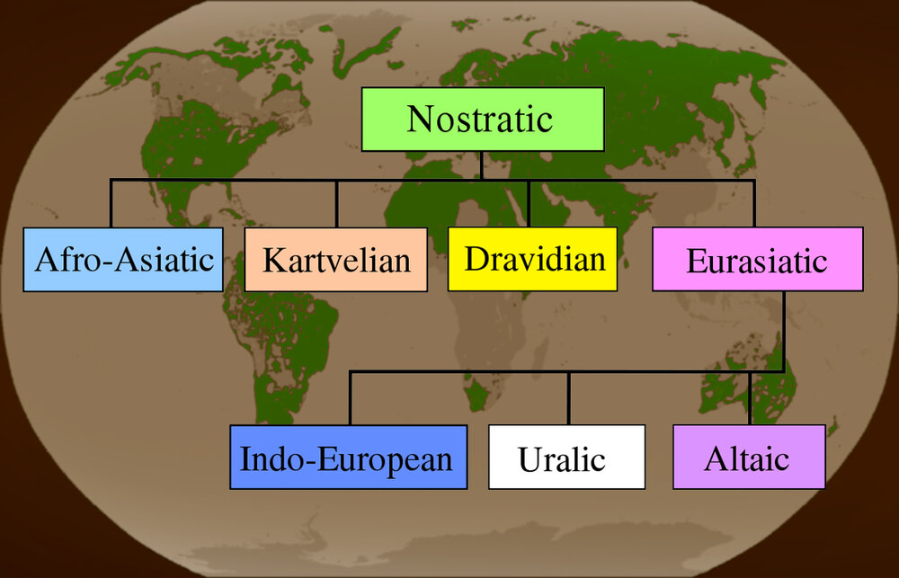 linguistic composition of india