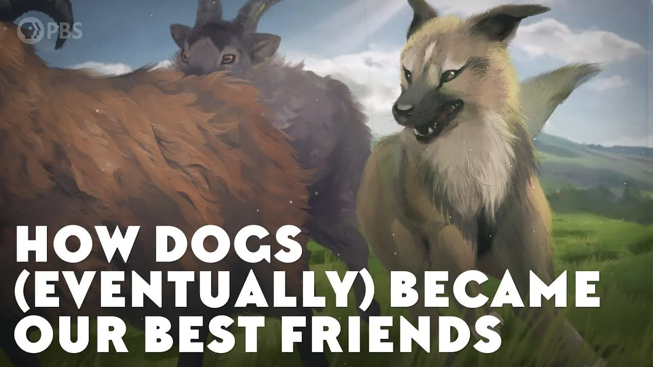 How Dogs (Eventually) Became Our Best Friends