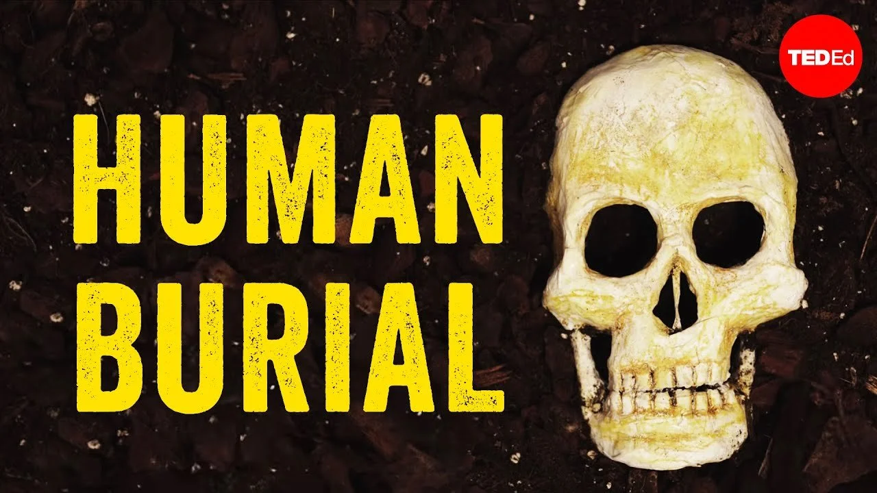 What happens to our bodies after we die?