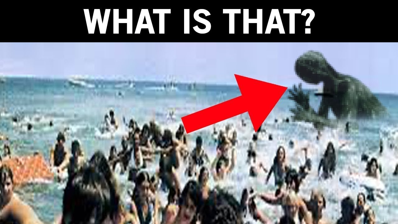 10 Shocking Sea Creatures That Actually Exist!
