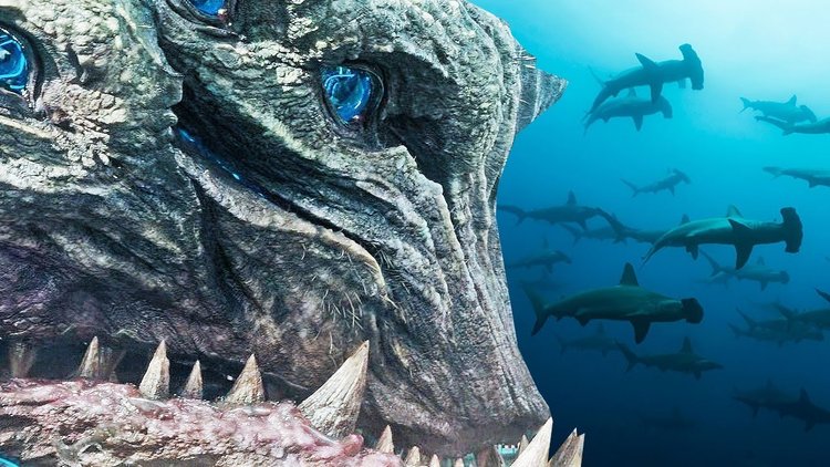 100 Most Dangerous Ocean Creatures In The World