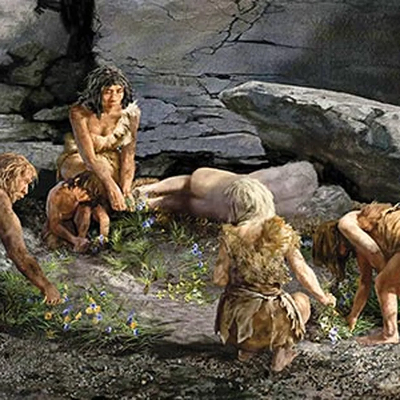 image_2026-06-20_164833673.png