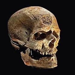 Cro-Magnon_1.jpg