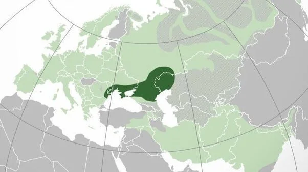 Pontic Steppe Region Eurasian Steppe An Overview | ScienceDirect