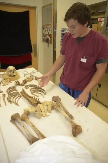 The Forensic Identification of Fasting in Skeletal Populations