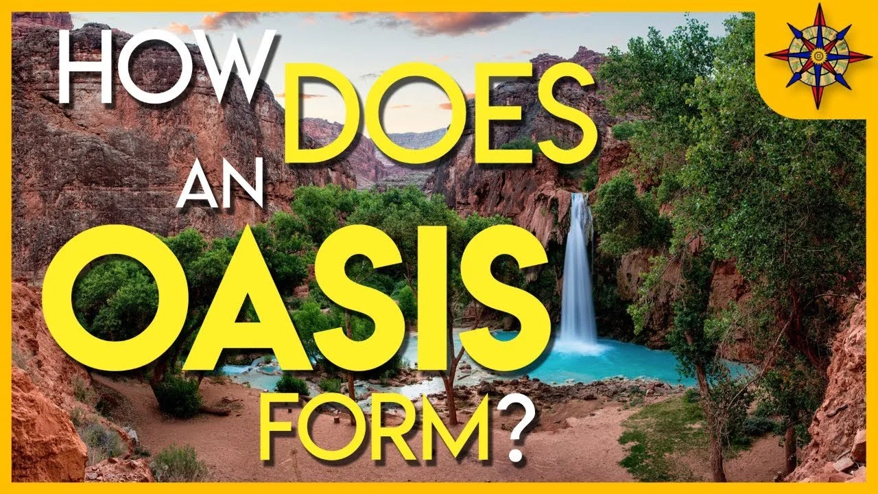 Oasis Fact File How Does An Oasis Form?