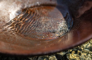 Is a secret gold mine hidden in the B.C. mountains? This treasure