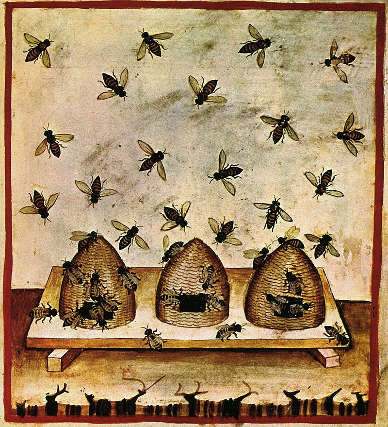 The History of Ancient Beekeeping