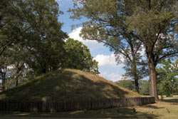 image_2026-07-26_225550940.png