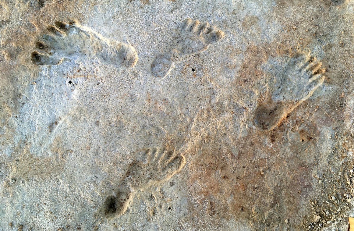 2025-06-19T082225Z_1569518334_RC23ME9DP4BB_RTRMADP_5_SCIENCE-FOOTPRINTS-1200x784.jpg