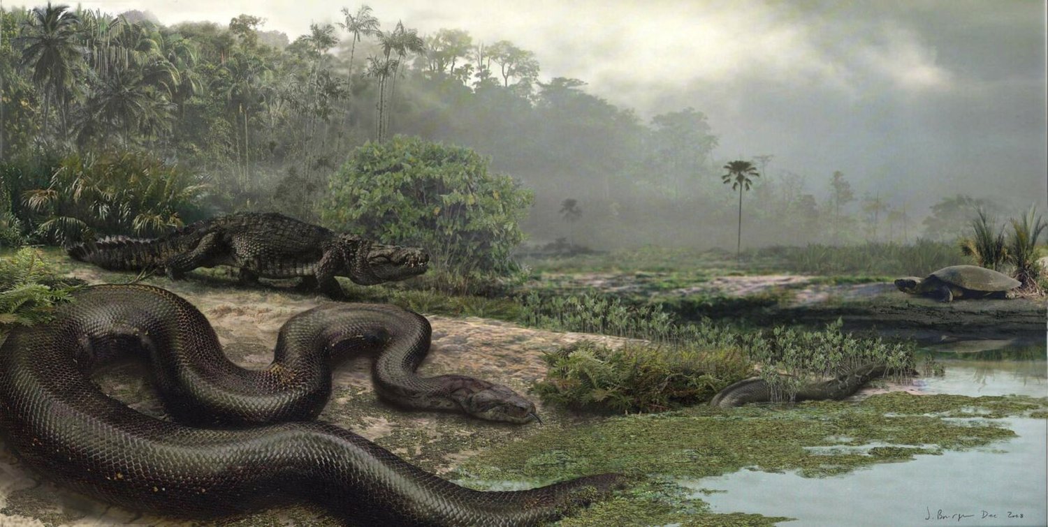 Titanoboa