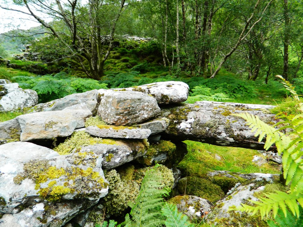 image_2026-09-02_000113526.png